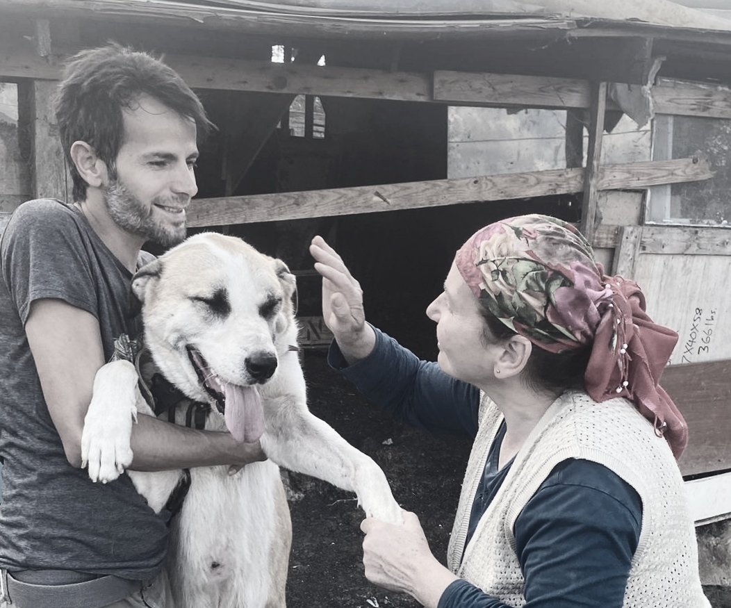 Turanmese34's tweet photo. Hayvanlara kıymayın efendiler #YasayıGeriÇek https://t.co/eqx1YxcQO8