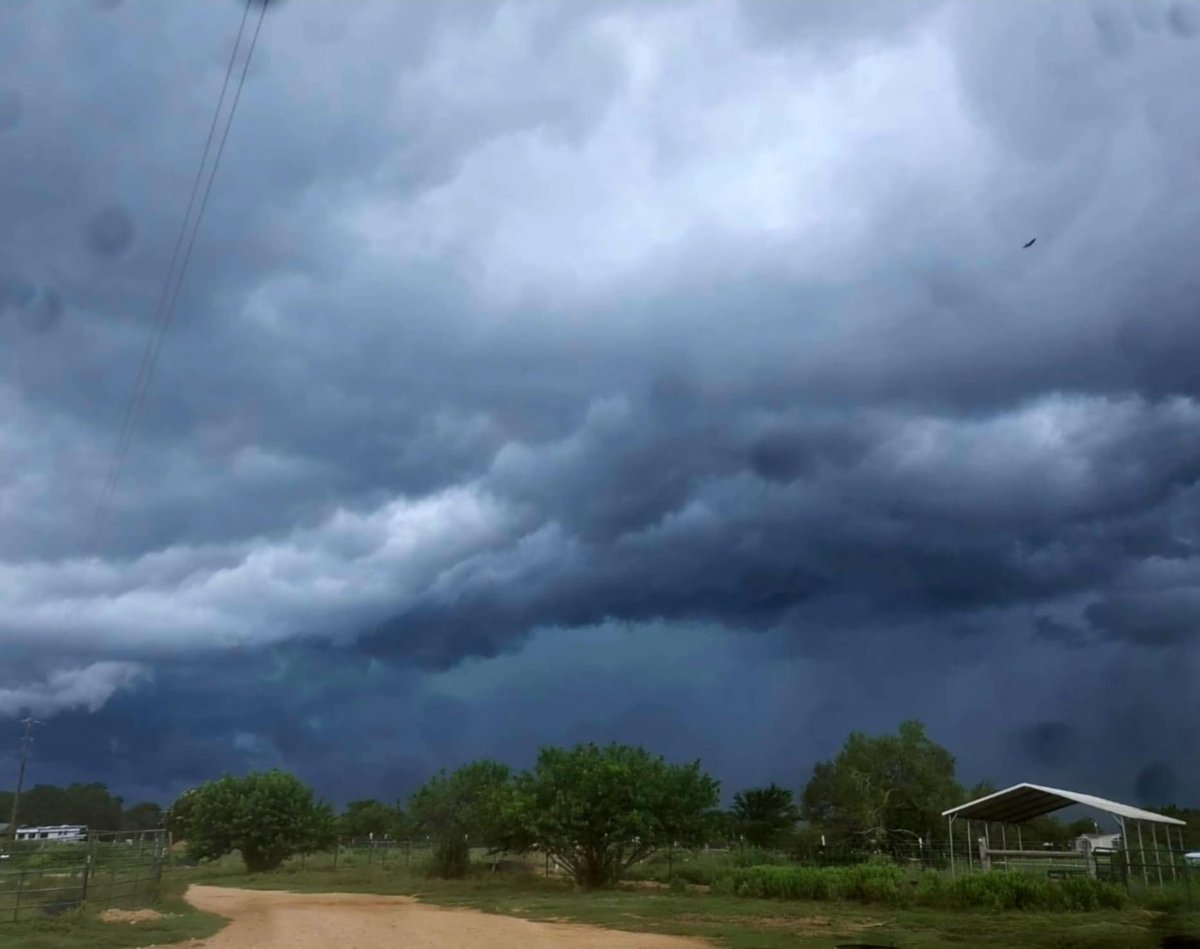 PRRHorseRescue's tweet image. Yet another big storm heading our way today. Good ole Texas weather 🥴

PalominoRidgeRanchHorseRescue.org 

#texasweather #stormyweather #cloudyday #cloudyweather #texashorserescue #rainydays #rain #horsesanctuary #daletexas