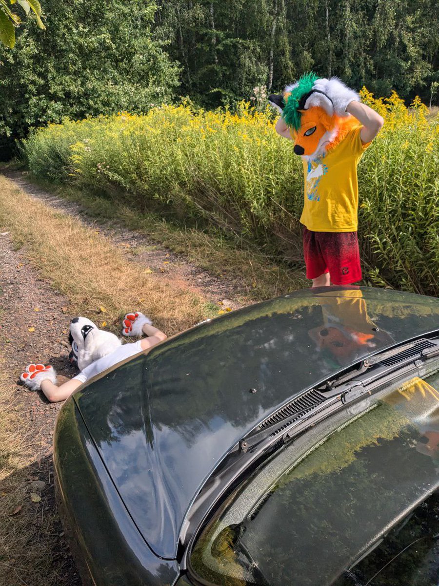 Polish drivers ….

🦊- <a href="/Wirtox4/">Wirtox</a>