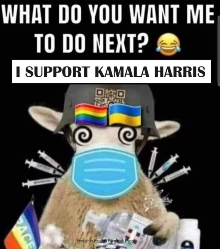 Rob Korevaar (@robkorevaa52730) on Twitter photo 