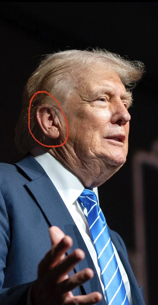 Andrea Lynn tweet media