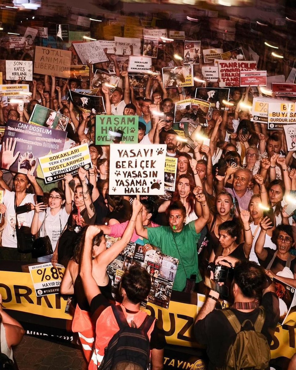 solcugazete's tweet photo. 27 Temmuz 2024 | Sokakları değil, içinizdeki kötülüğü temizleyin.

— Kadıköy https://t.co/N6V8Pc8kZm