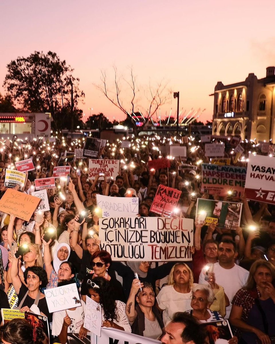 solcugazete's tweet photo. 27 Temmuz 2024 | Sokakları değil, içinizdeki kötülüğü temizleyin.

— Kadıköy https://t.co/N6V8Pc8kZm