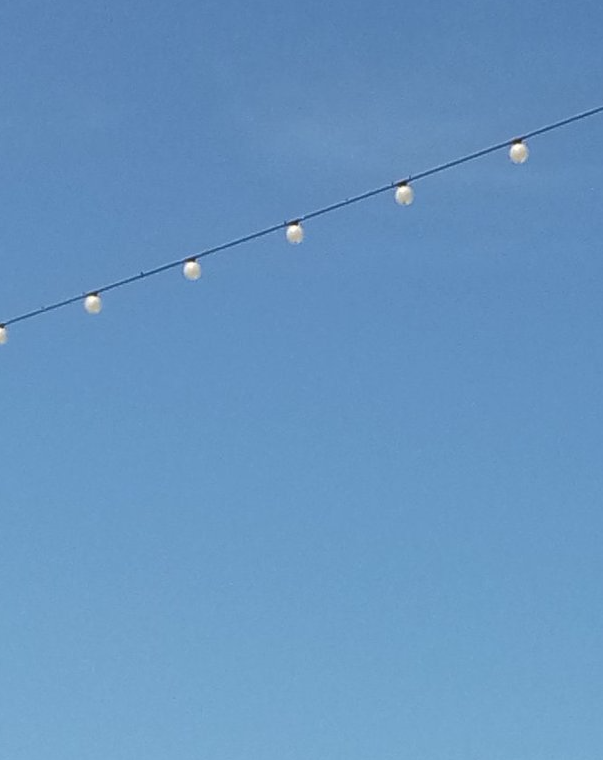 David Ross tweet media