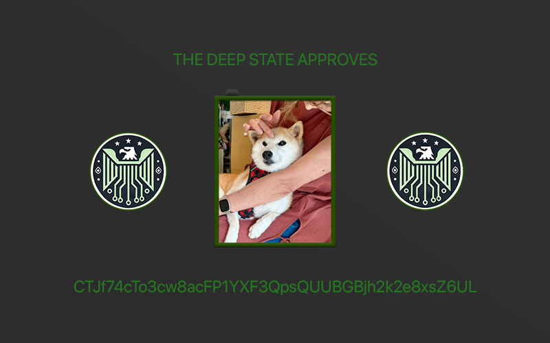 DeepStatePump's tweet photo. @pumpdotfun $NEIRO approved. https://t.co/OeikL5aZPf
