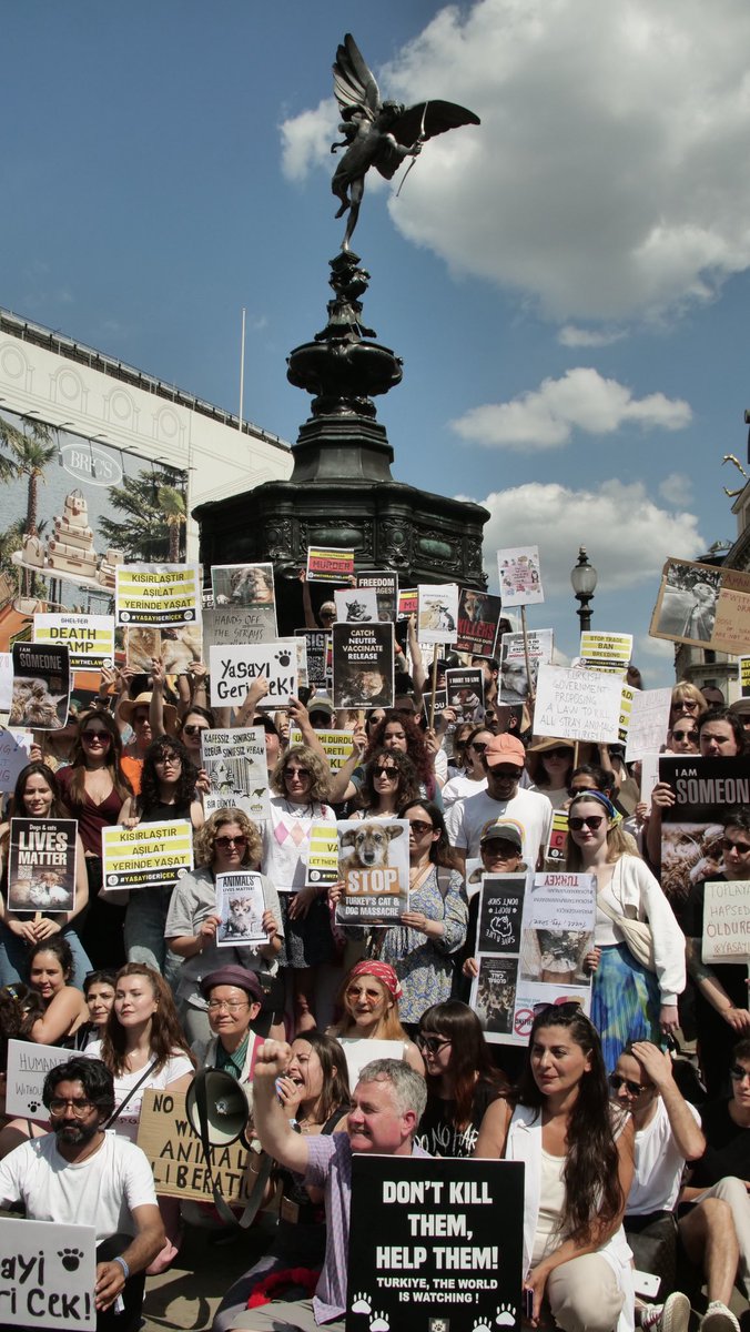 Melda Ece-Kelemcisoy tweet media