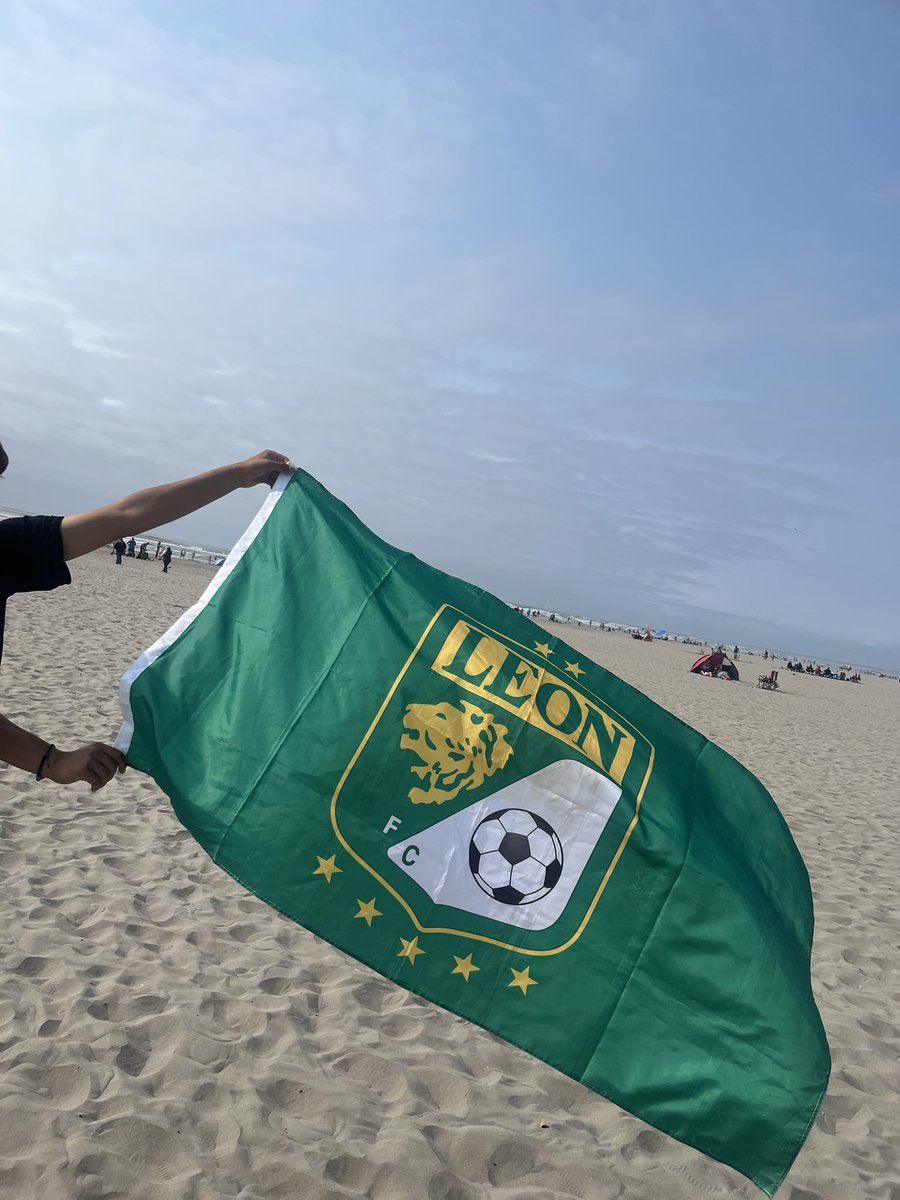 tonsol1983's tweet image. Ya listos , para alentar a mi fiera
@clubleonfc