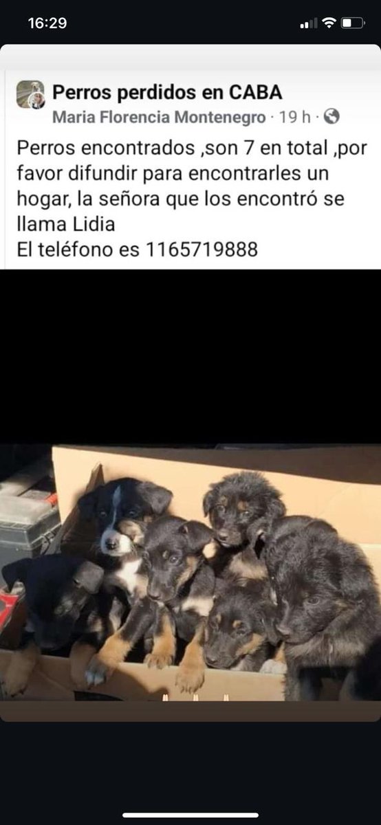 patripeyrou's tweet photo. Difundimos https://t.co/7zZ3Rgh0yp
