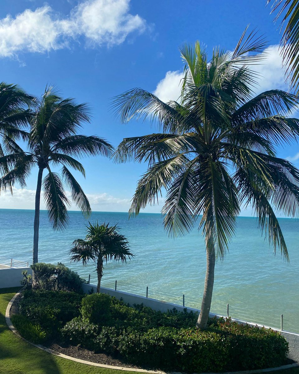 That Southernmost Vacation feeling! 😁 All smiles down here in Key West. 

Retweet if you've enjoyed a vacation at Somo 💛 

bit.ly/2IzXTAj

📸: brynne.lowe , aubrey_ciriello