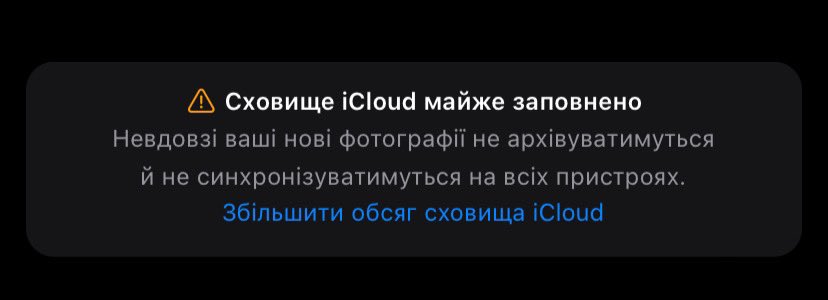 abbfghth's tweet photo. победитель по жизни ✌️ https://t.co/HFaFp8CMim