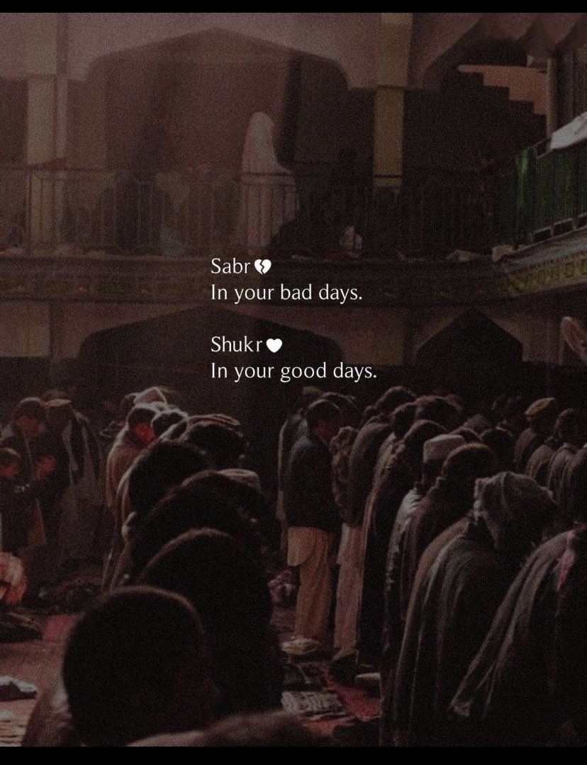 Nour Kothim Thera (@kothimt) on Twitter photo 