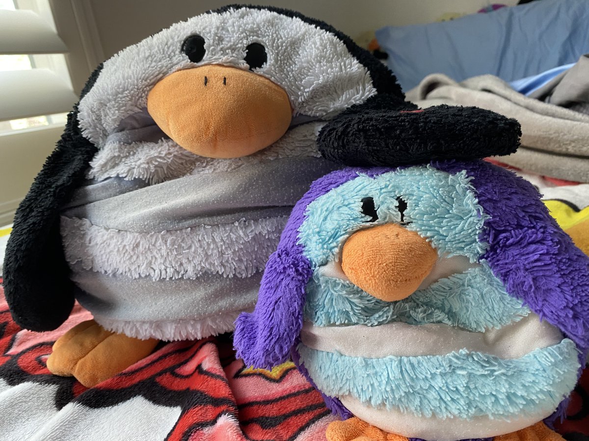 Welcome to the official home of Salt and Chili! We'll be uploading a mix of animation shorts, live action picture stories, and more of our silly adventures together. Make sure to follow our other social media accounts and share with your friends or loved ones 🐧❤️