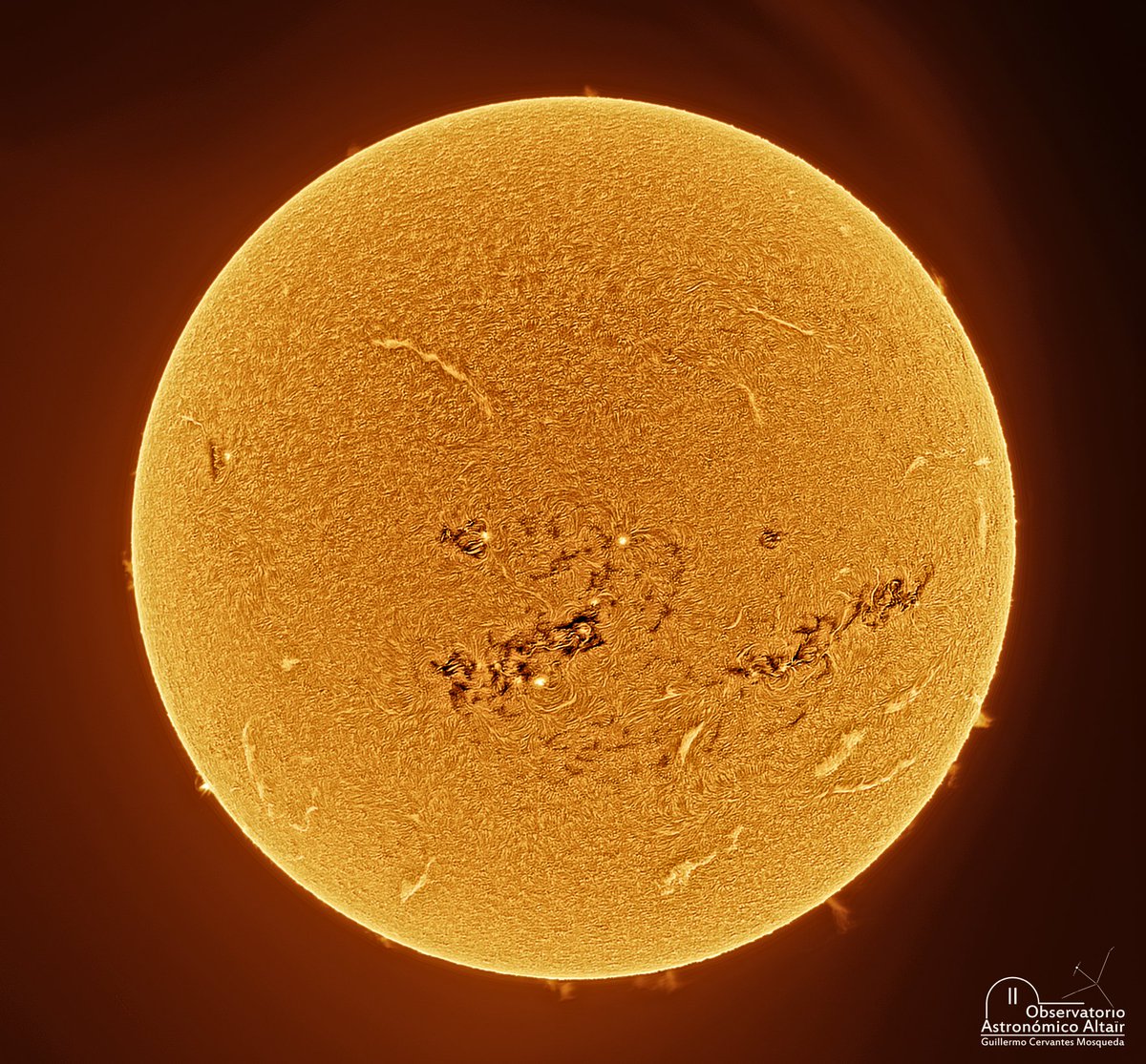 Guillermo Cervantes M tweet media