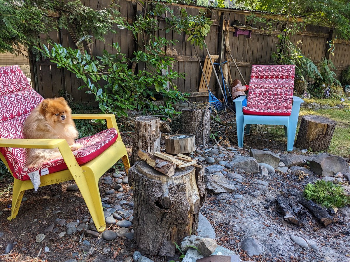 odiesislandlife's tweet photo. Odie wishing we could have a campfire lol sorry buddy not until the fall 🧡 #odiesworld #mountaindog #islandlife https://t.co/zjLe35eu1r