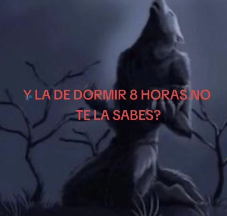 misaboca's tweet photo. cuántas horas suelen dormir https://t.co/xrfA5JKhdV