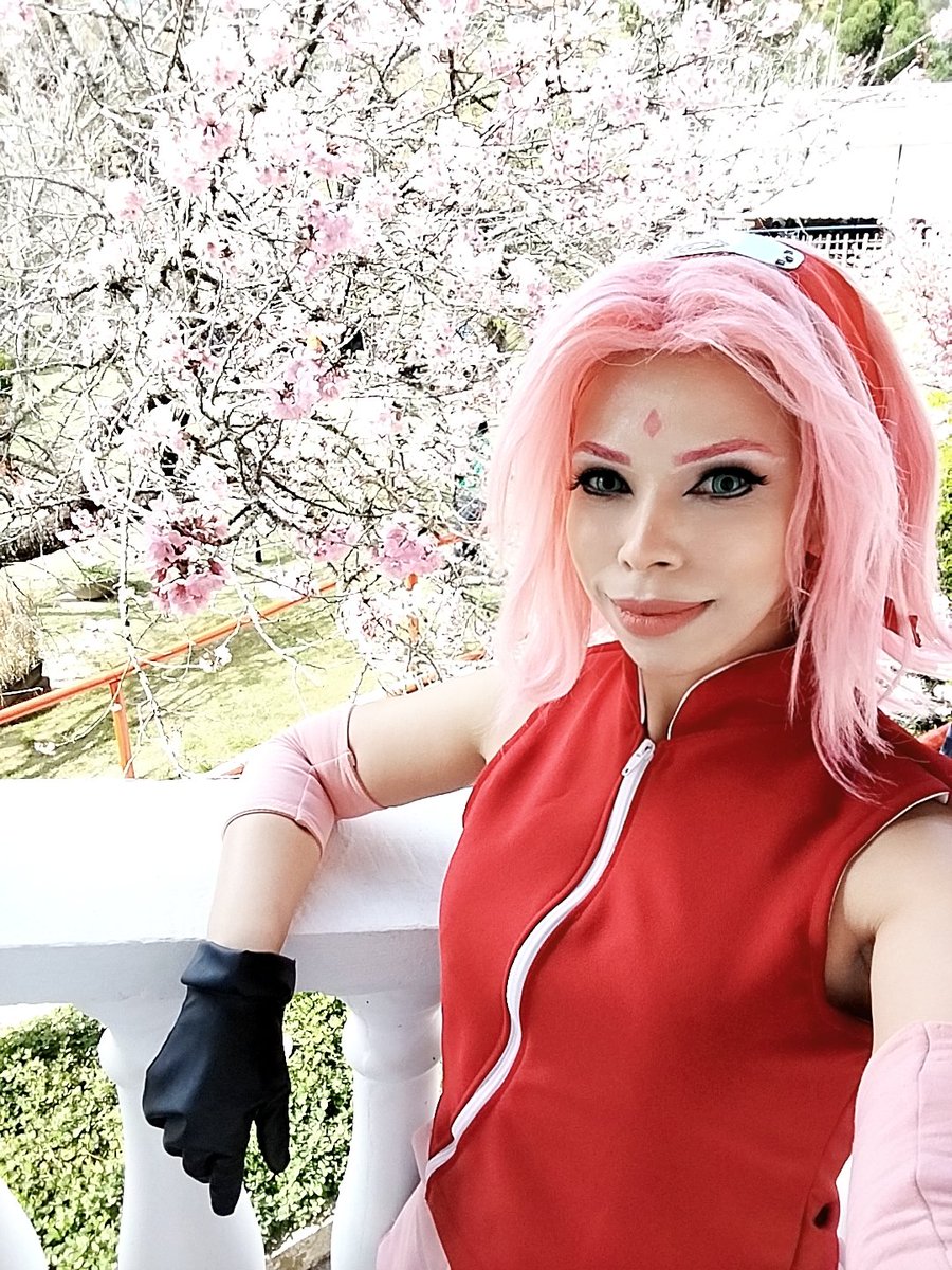 ItsMeSaskya's tweet photo. Simplesmente a Sakura visitando as Cerejeiras https://t.co/A1n0JKTPTp