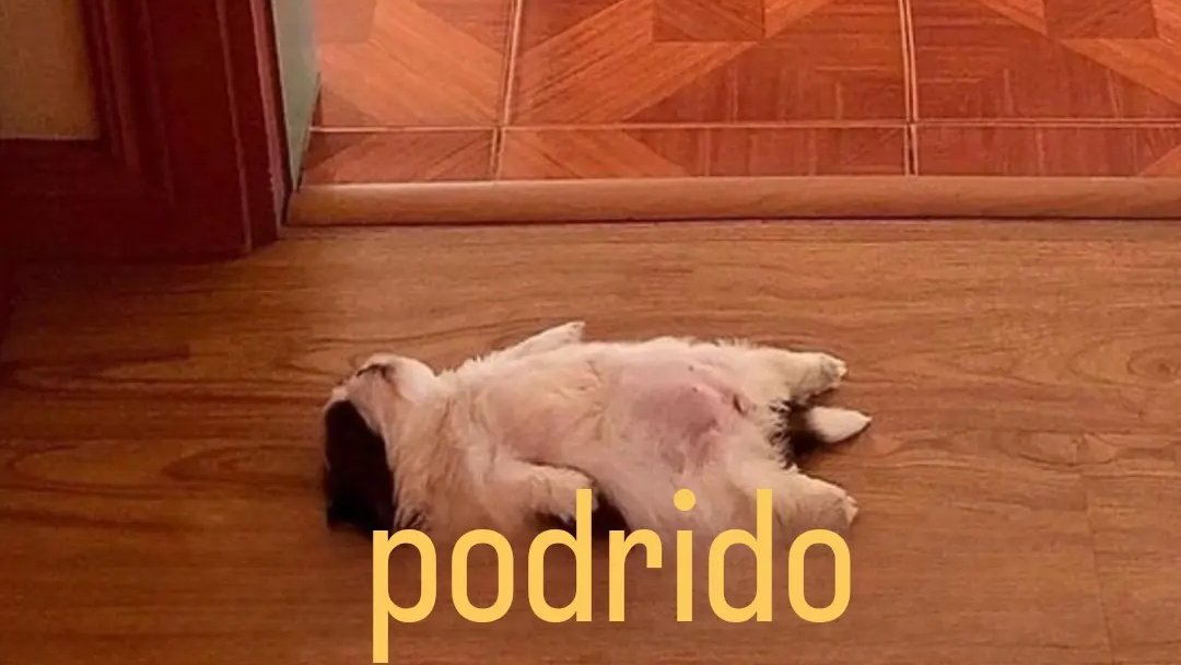 "Hay que hacer algo el fin"

Yo en cuanto llega el fin de semana: