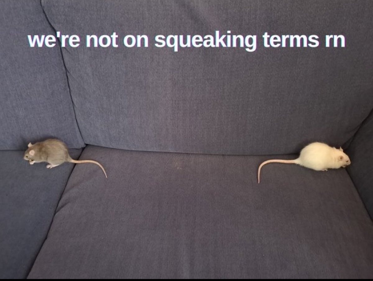 no context memes (@weirddalle) on Twitter photo 