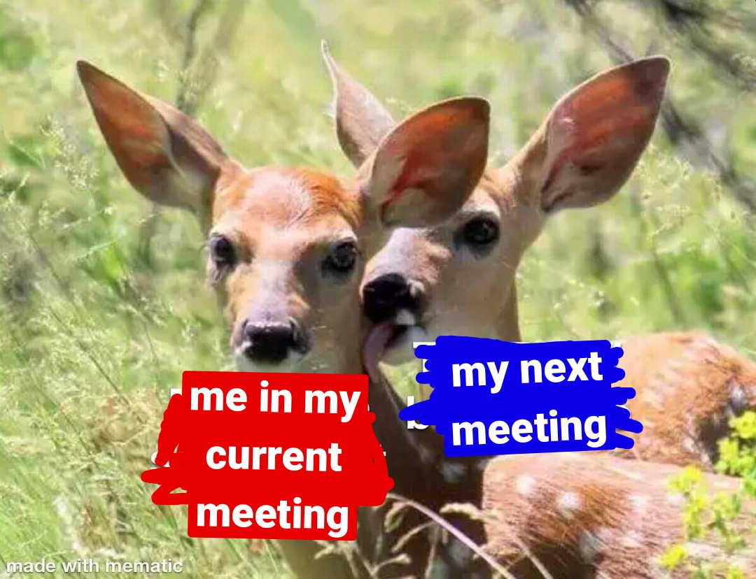 ᴉpᴉǝH 🐐💕 (@summer__heidi) on Twitter photo 