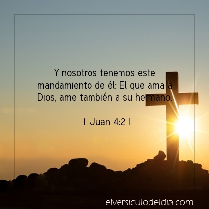 El versiculo del dia tweet media