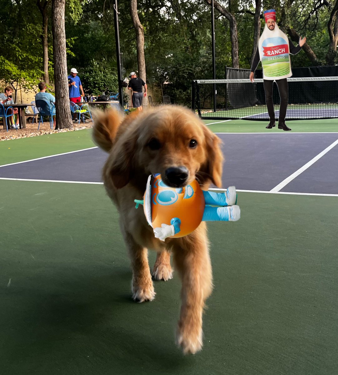matty_pickles's tweet image. Orlando Squeeze - GG but ya got ranched #pickleball #ridetall #dog
