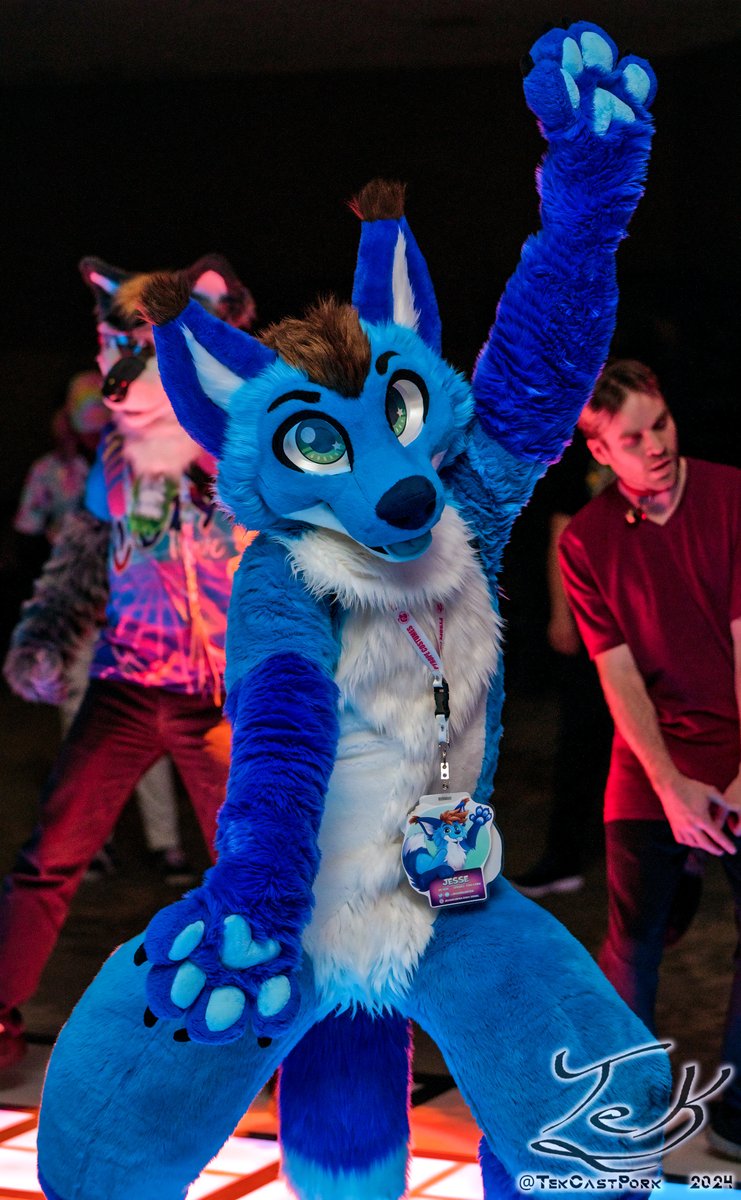 Onto my 3rd back-to-back convention next weekend, and can't wait to hit the dance floor! :D

Who will I see at #Canfurence?

📸<a href="/tekcastpork/">TekCastPork</a>
