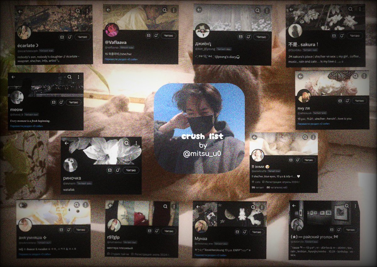 | 。.゚наяя + ⟵ tweet media