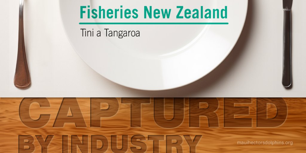 Govt's Hector's Bycatch Reduction Plan was to incentivise zero bycatch via public quarterly and annual reports about fishing industry deaths &amp; action taken.
But the Incident Database hasn't been updated for months due to MPI delays. 
Stop the killing.
givealittle.co.nz/cause/help-pro…