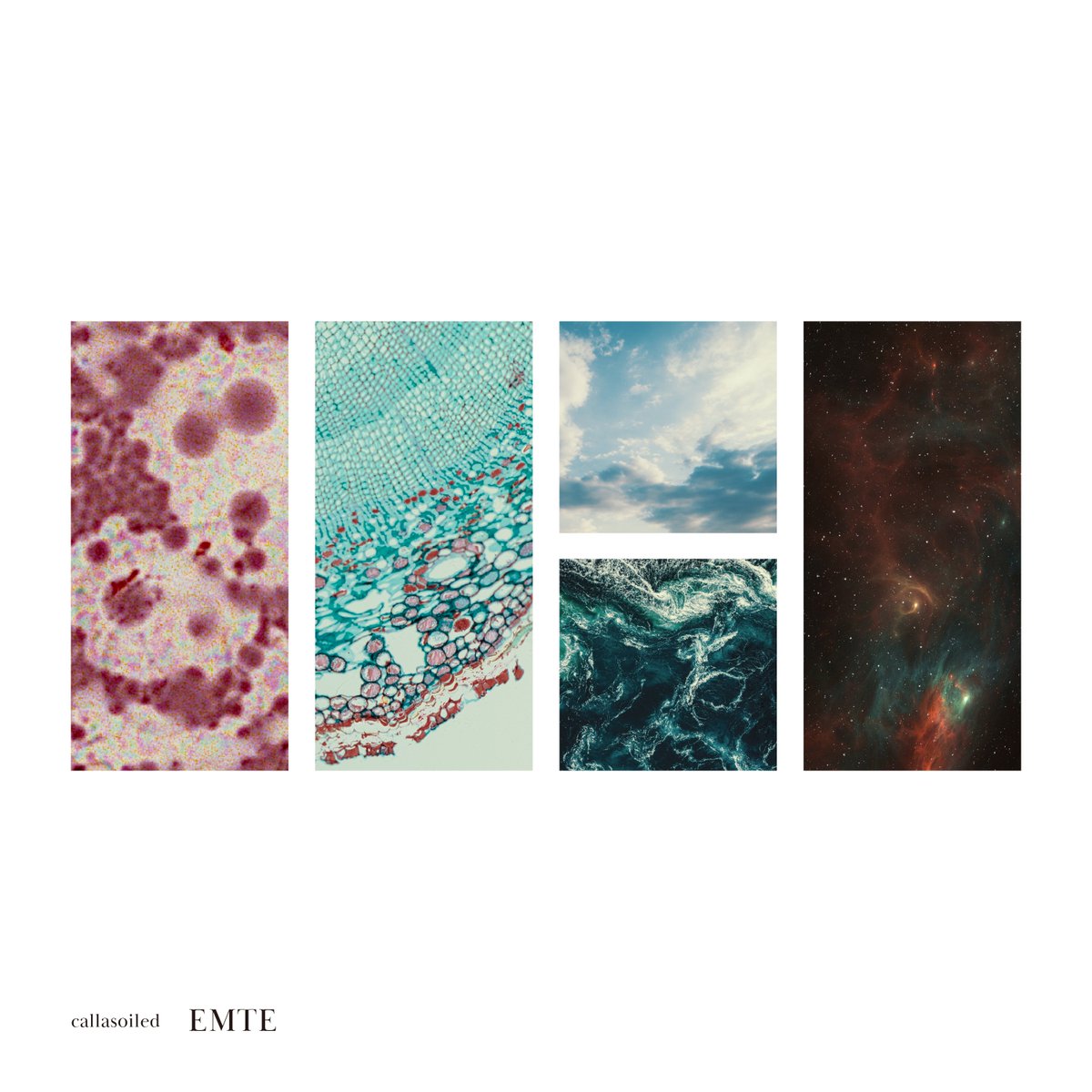 callasoiled's tweet photo. 2024 / 08  / 02 (FRI)
「EMTE」
https://t.co/BOI4rkEbvm

”irori” Liveset
「liquid」
https://t.co/c0eOCs2PGg

 2024 / 08 / 23 (FRI)
"DUCT" Liveset
「breath」

40%Discount Code
「emte0802discount」 https://t.co/7rZKOVvovc