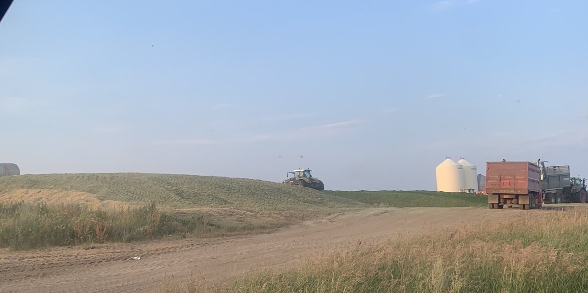 With the crops drying up quickly we decided to get some of them in as silage. ⁦A good crew gets it put up pretty quickly!  Nice to have it in the pit. <a href="/Fendt_NA/">Fendt_NA</a>⁩ ⁦<a href="/TrochuMotors/">Trochu Motors Ltd.</a>⁩ <a href="/JStankievech/">Jordan Stankievech</a>⁩