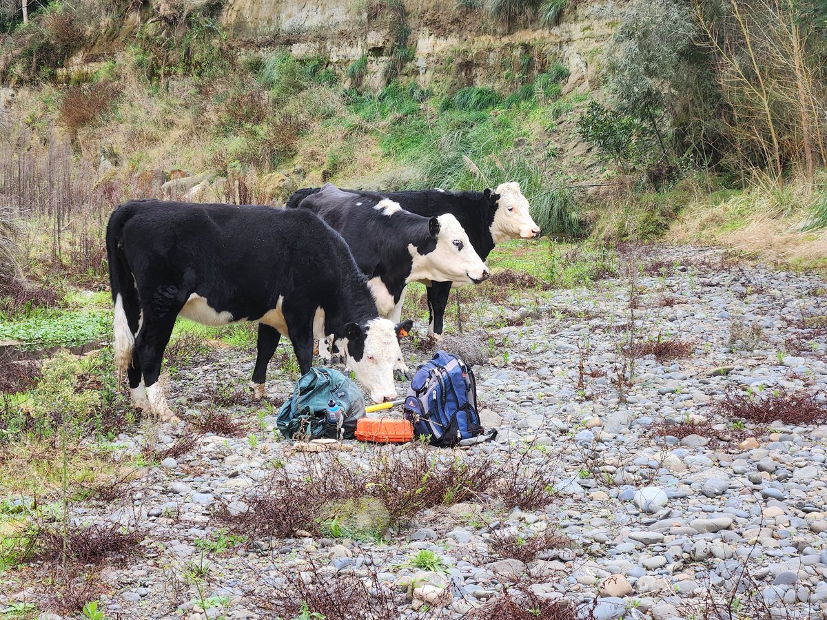 Kat Holt tweet media