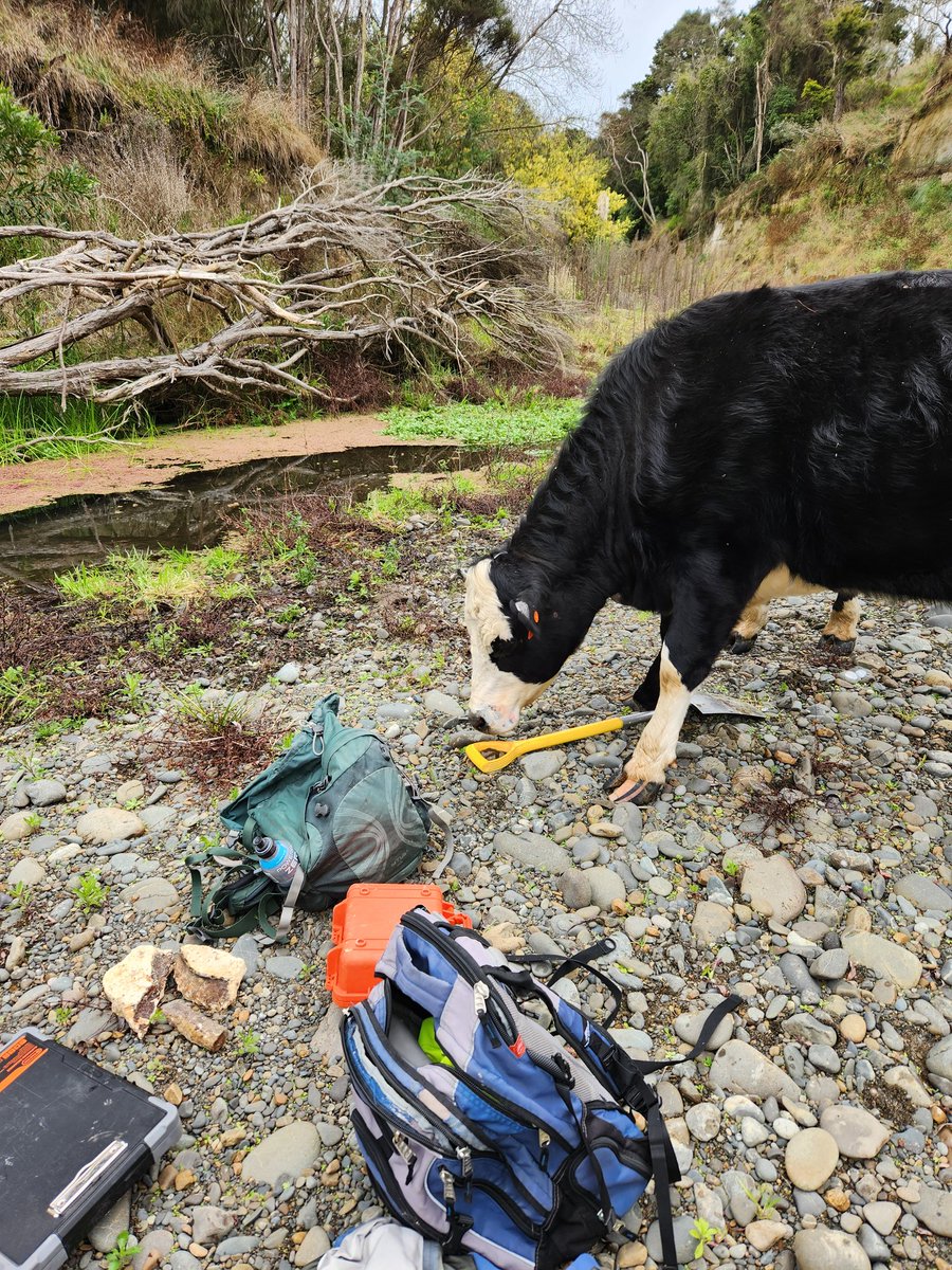 Kat Holt tweet media