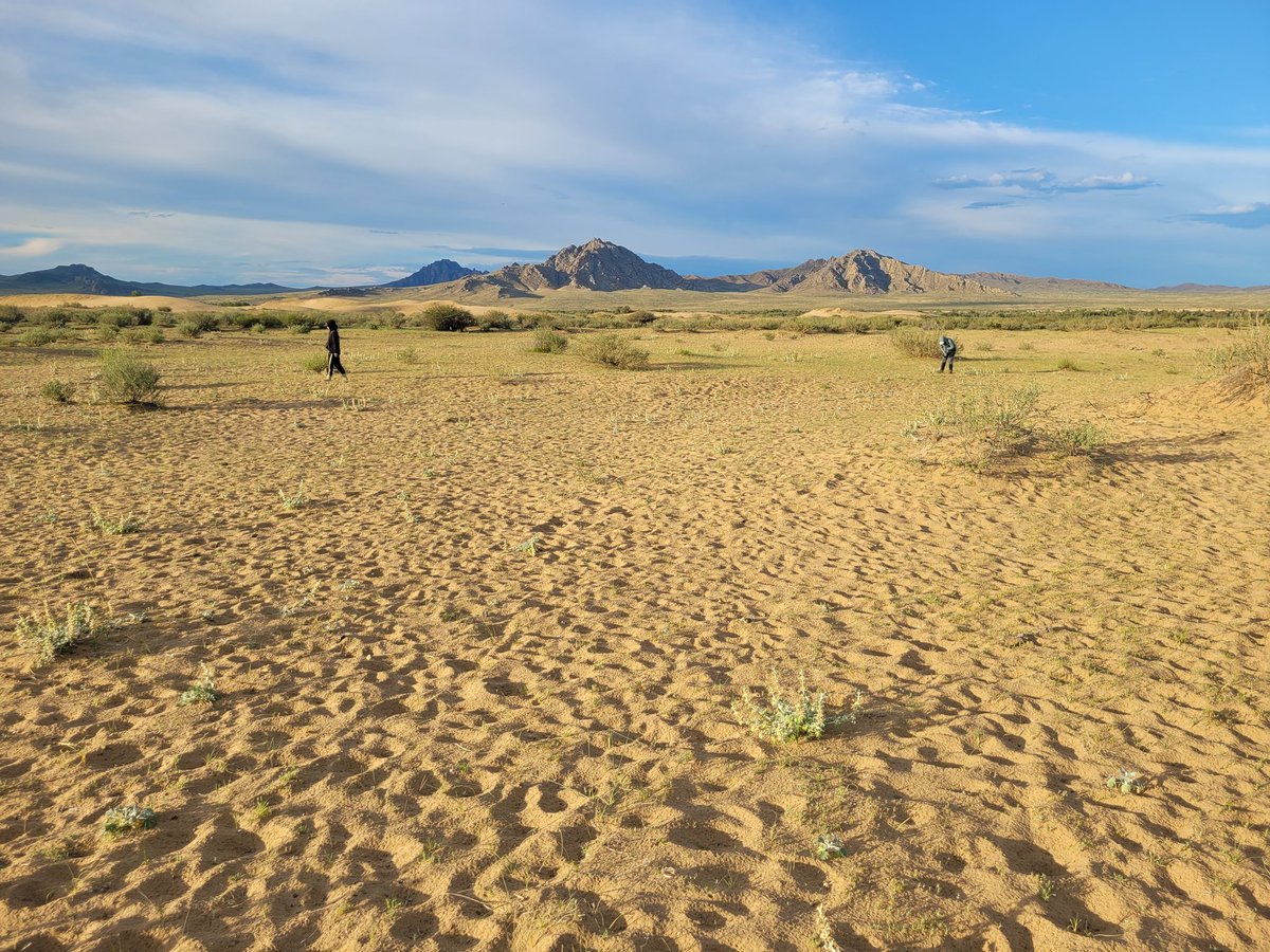 Lech Karpiński tweet media