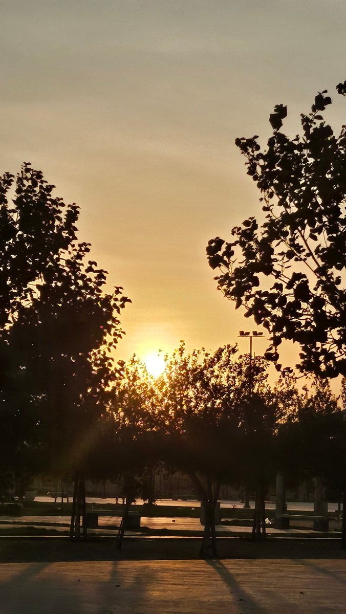 جود المطيري 👩🏻‍💻 tweet media