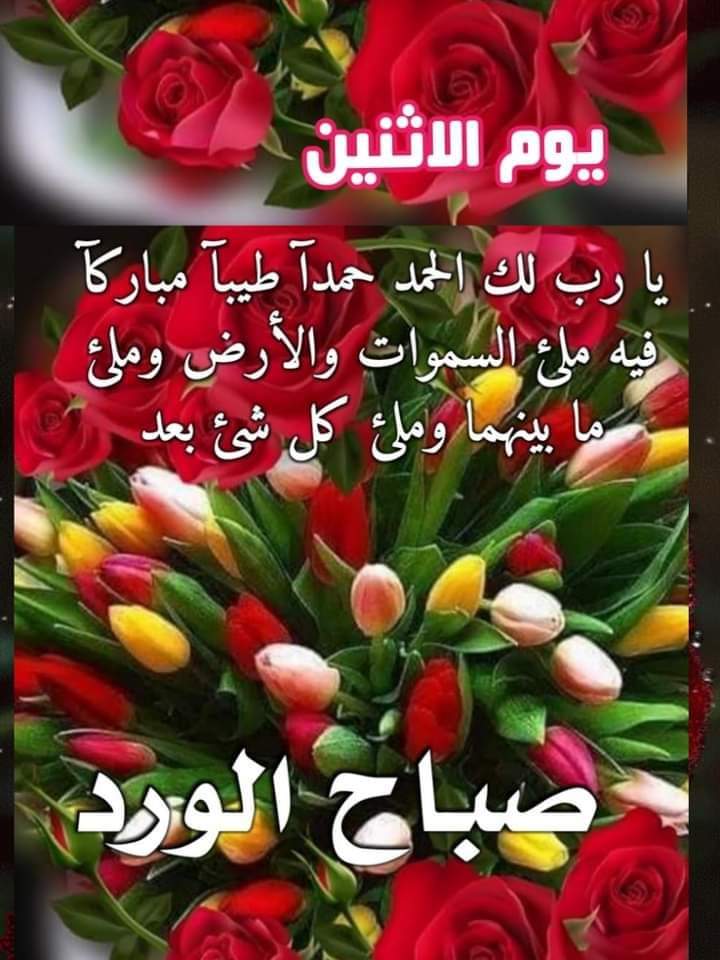 alaa amy tweet media