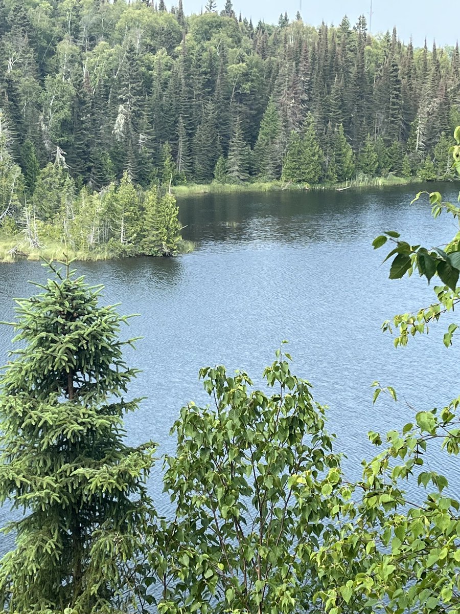 DerekMG1111's tweet photo. Lookout on the way to the lake today?🌞🙏❤️🎣♾️ https://t.co/4YQk6zwuJV