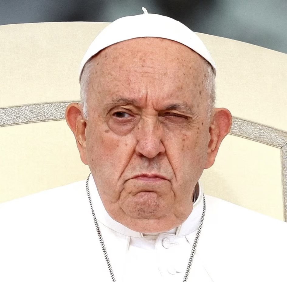 I Meme Therefore I Am 🇺🇸 tweet media