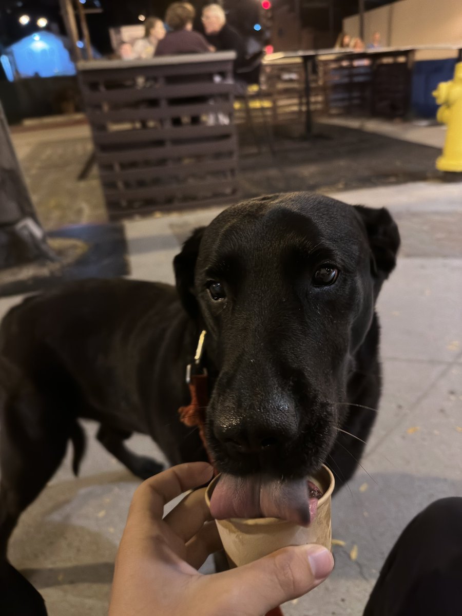 It’s my gotcha day! Here’s how I’m celebrating: