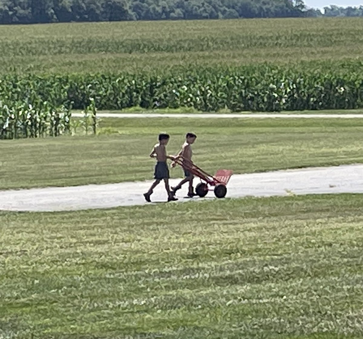 CraigvonStein's tweet photo. You’ve heard of Two Men and a Truck, right? How about Two Boys and a Cart? https://t.co/ULn6ImMbt6