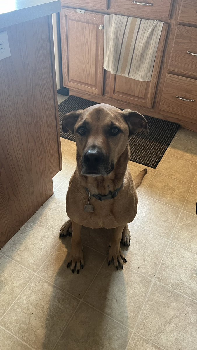 gamberb's tweet photo. @Dalbodog I have a scooby 💙 https://t.co/GdLXYl5jBo