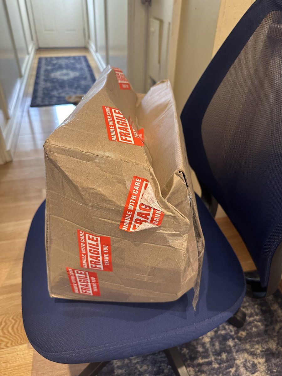 Jessica Volchok tweet media