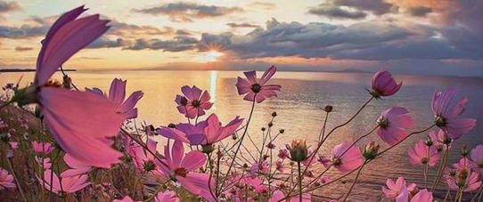 اللهم أرزقنا الإخلاص في الدعوات ، والقبول في الطاعات ، والشكر عند الخيرات .