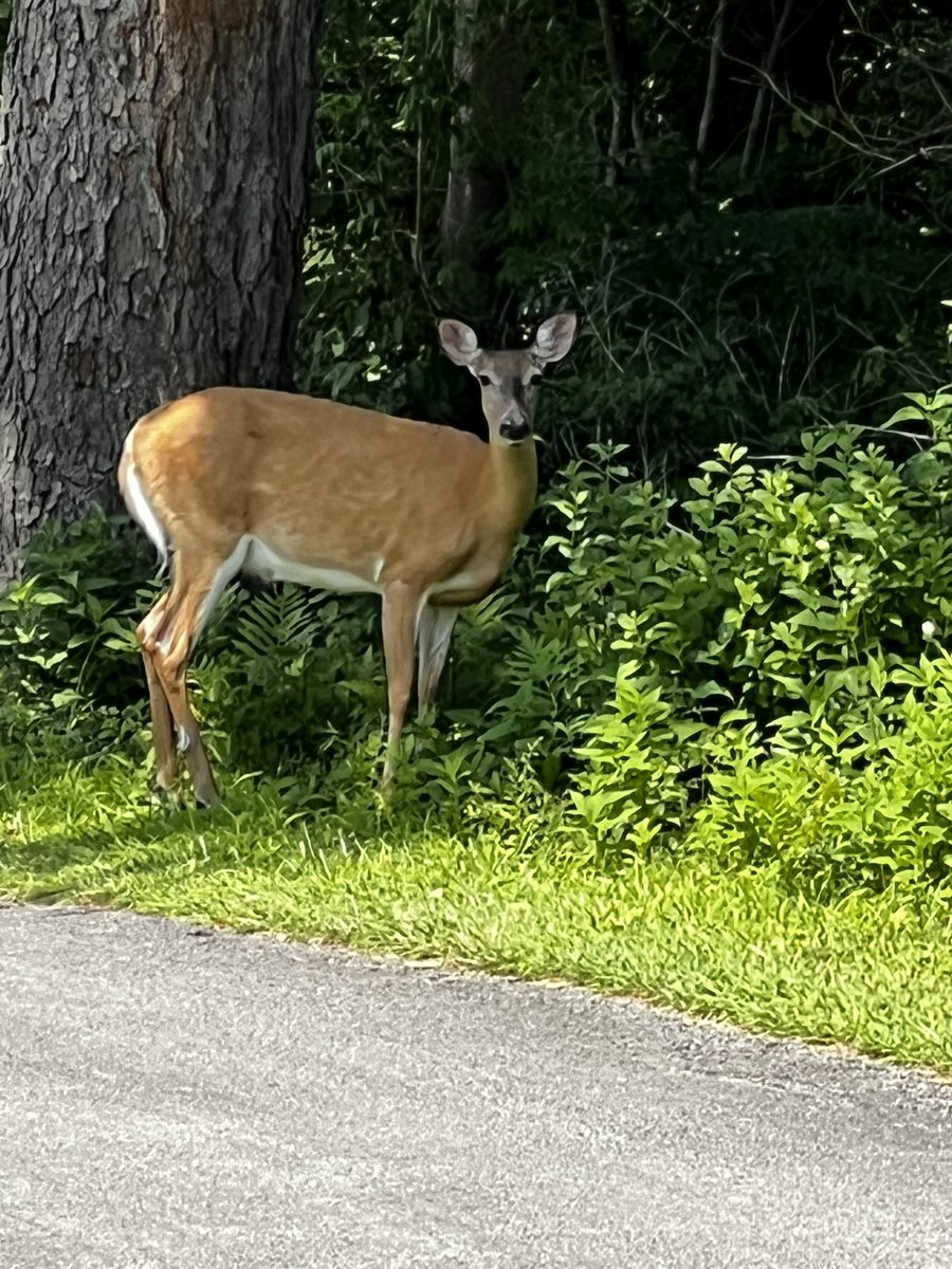 cpsully's tweet image. Last few