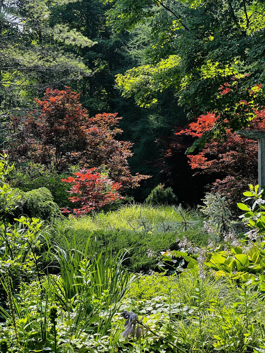 cpsully's tweet image. Something other than politics