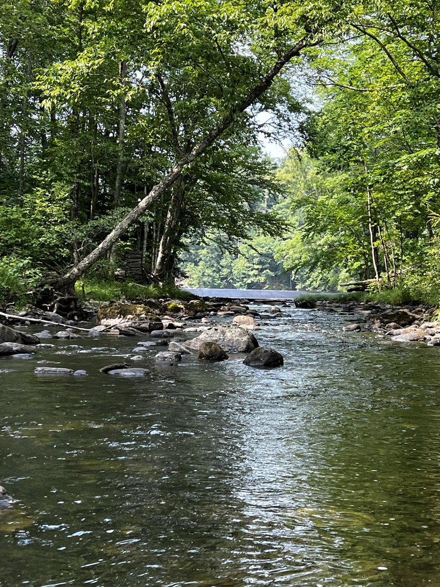 cpsully's tweet image. Something other than politics