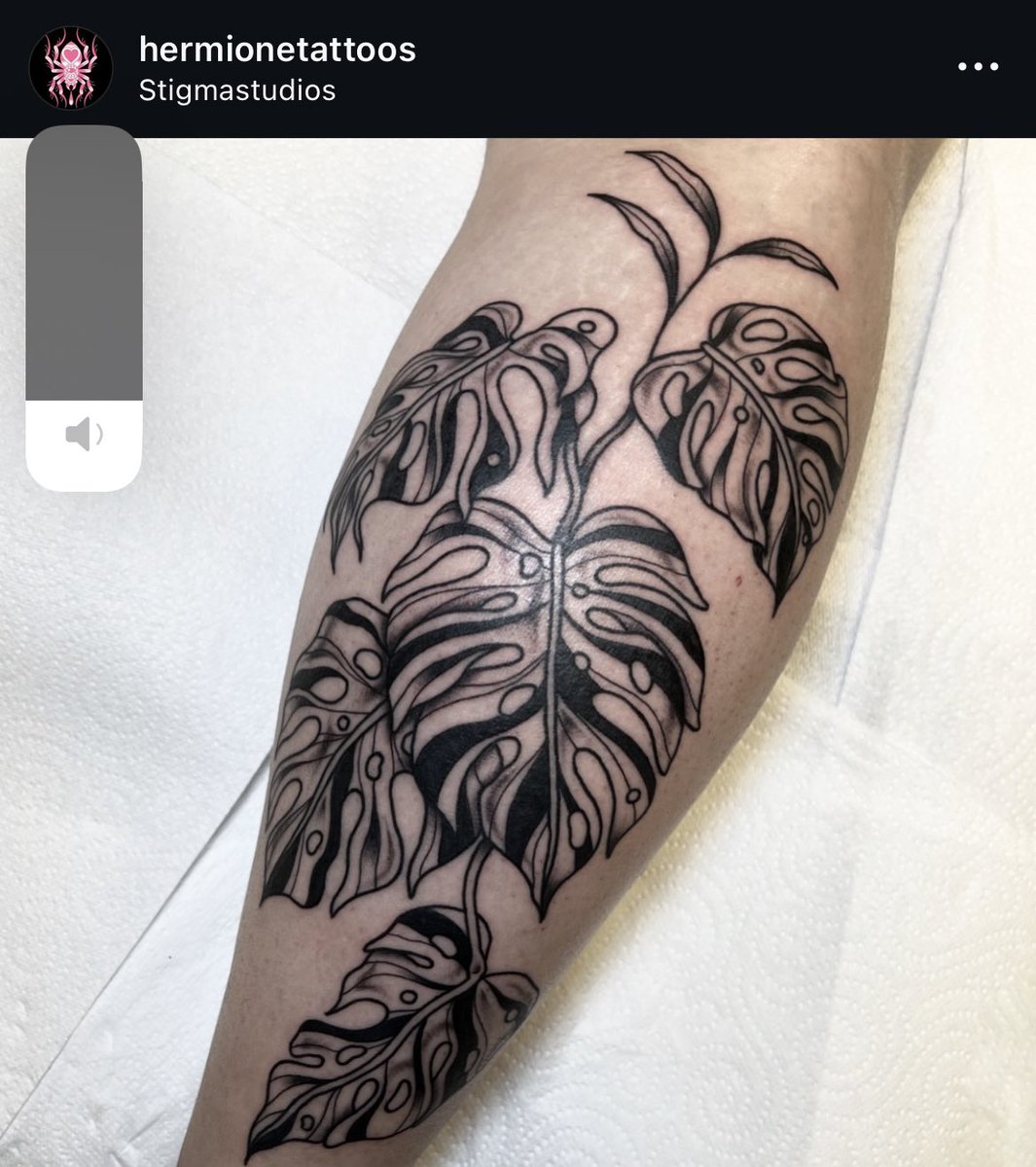 I got a new tattoo yesterday 💅🏼 she felt SPICY 😩 whoever said calf muscle tattoos don’t hurt are liars and cannot be trusted. ✨✨✨