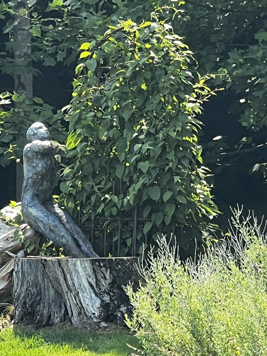 cpsully's tweet image. Some more pictures of a fun weekend