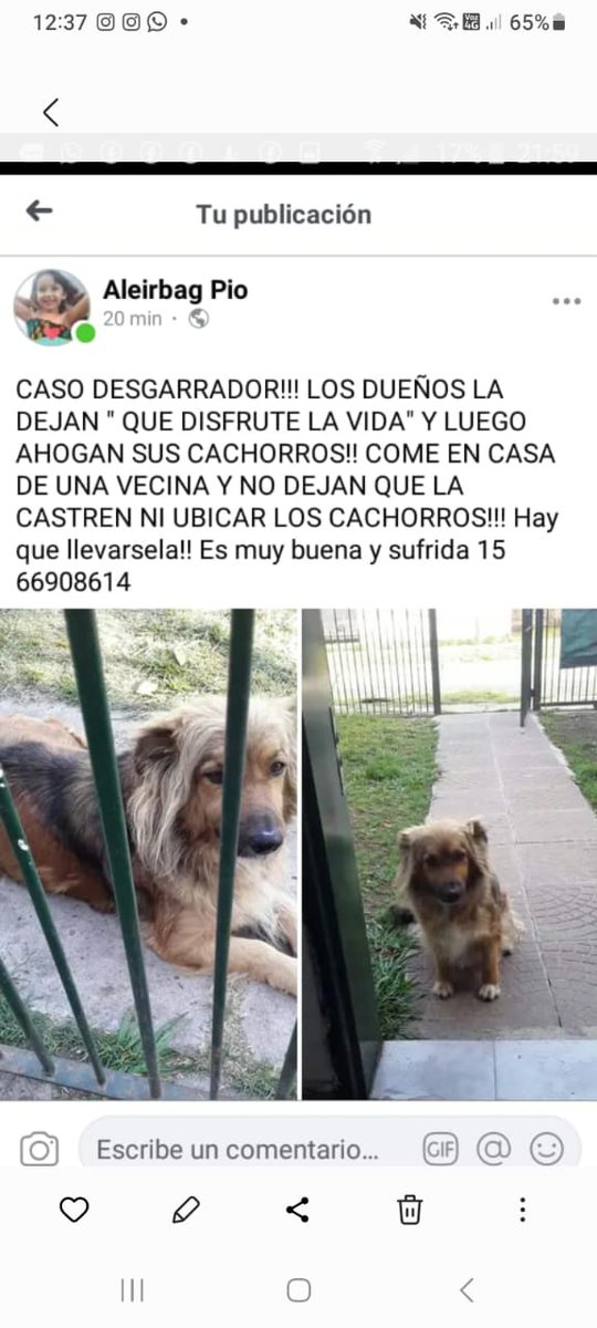 patripeyrou's tweet photo. Difundimos https://t.co/5yRPKS5l1D