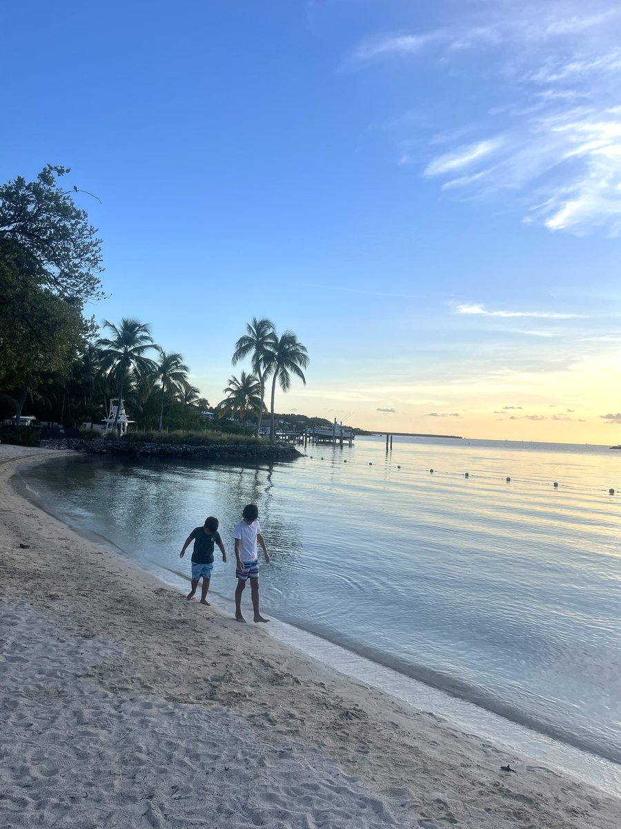 Device_Optical's tweet photo. Our favorite painting is a sunset over a beach.
Have a grest week.
Device Optical Team
#sunday #weekend #deviceoptical #oftalmologos #doctor #medical #miami #islamorada #floridakeys https://t.co/mAEFjauYYi