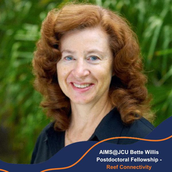 Dive in to the next chapter of your career with 3️⃣ AIMS at JCU #Postdoctoral Research Fellowships up for grabs!

🪸 Reef Responses to Environmental Change
🪸 Modelling Coastal Dynamics
🪸 Reef Connectivity

Apply now ➡️ bit.ly/AIMS_jobs
📆 Close 19 Aug 2024